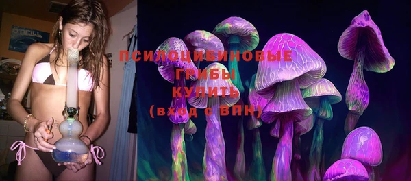 СК Рославль